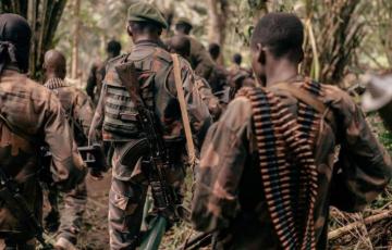 Guerre en RDC : Le groupe d’experts de l’ONU épingle Kinshasa qui recourt aux FDLR et aux Wazalendo
