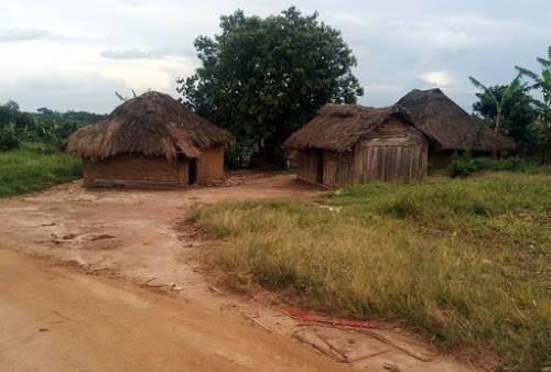 Ituri : Des combats opposant les FARDC aux miliciens à Mahagi, à la base d'un déplacement massif