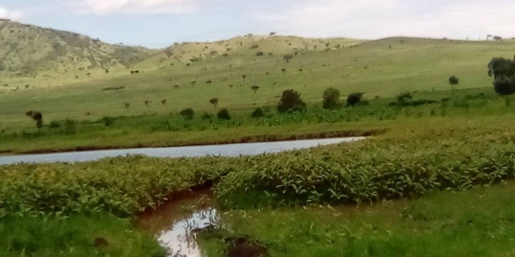 Beni : Un déversoir d'eau met à mal la vie des habitants de KASINDI