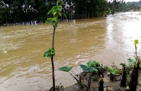 Débordement de la rivière LUBIRIHA : plus de 666 hectares de champs détruits