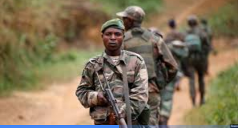 En secteur de Rwenzori, la NSCC signale la présence des militaires ougandais sur le sol congolais