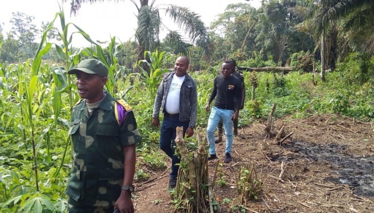 Beni : Au moins 70 personnes tuées en secteur de RWENZORI entre février et juillet 2020