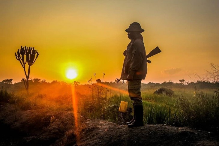 L’ICCN dénonce des ventes illégales de terrains dans le Parc National des Virunga