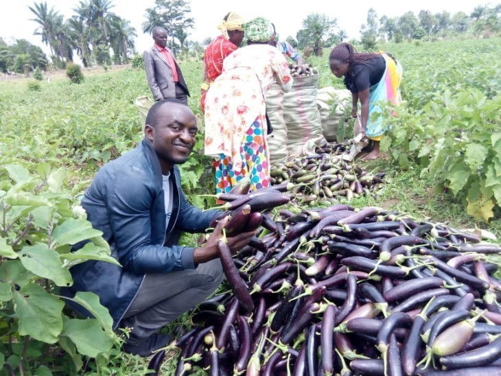 BENI:L' OJCD se lance dans l'agriculture pour répondre aux besoins dela population victime la guerre