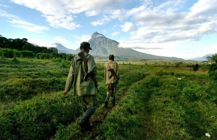 Nord-Kivu : Les autorités condamnent une énième série de carnages après la découverte de 29 corps