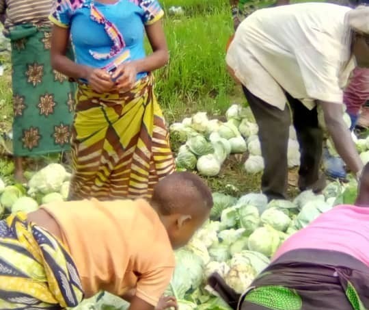 Beni : L'OJCD-RDC au chevet des déplacés de guerre à OICHA