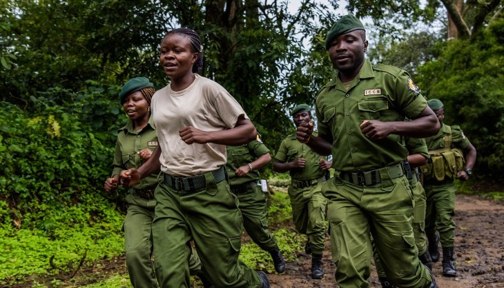Nord-Kivu : 6 écogardes du parc des Virunga tués dans une attaque armée