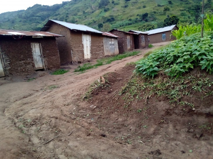 Nord-Kivu : Esco-Kivu rejette les accusations sur l'exportation du Cacao de Watalinga vers l'Ouganda