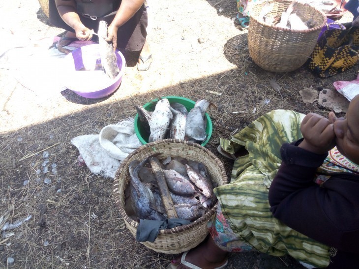 Nord-Kivu : Les vendeurs de poissons victimes de surtaxation et d'insécurité