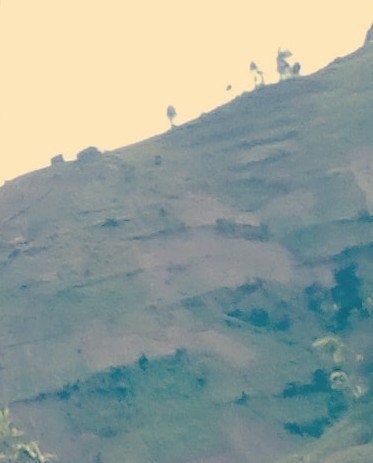 Beni : Les forces vives décrient l'inactivité des FARDC face aux attaques dans les villages Magwaghu