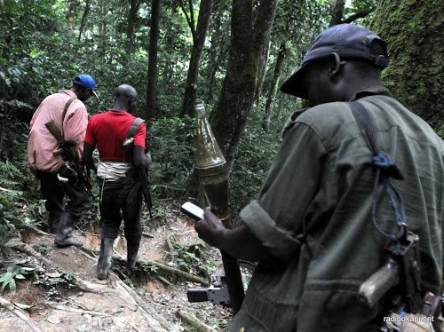 Nord-Kivu : Des bandits armés prennent en otage 4 civils à Kisharo en territoire de Rutshuru