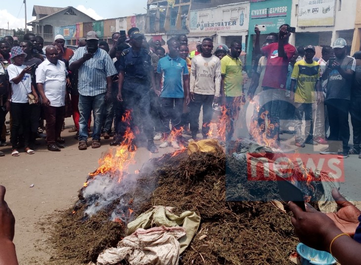 Beni: incinération par la PNC CIAT Kasindi de 6 sacs et 250 boules de chanvre
