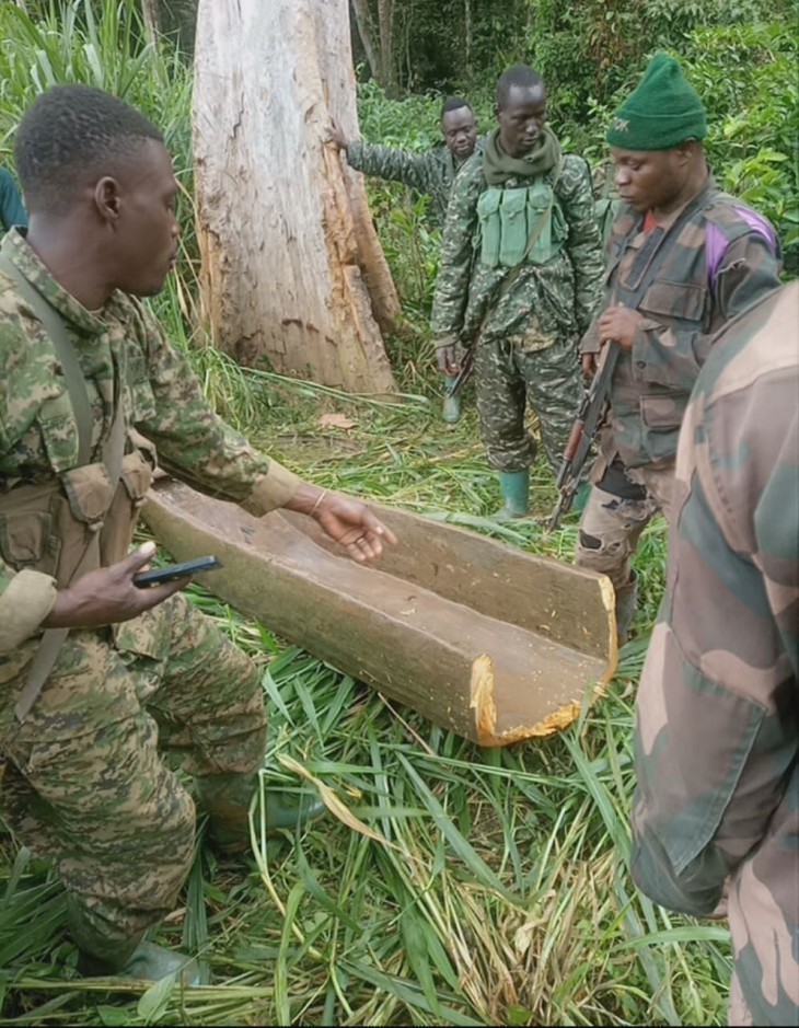 Opération Shujaa : Des pertes rapportées dans les rangs des ADF en Ituri