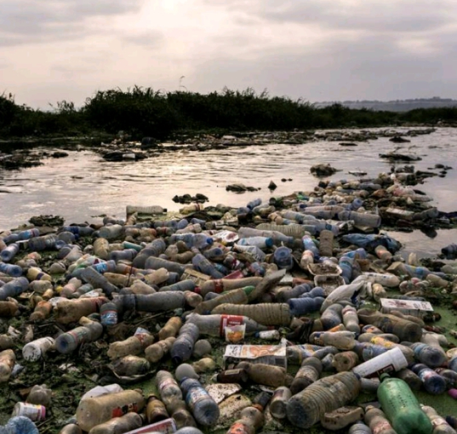 Lac Édouard : Les produits halieutiques sous menace des déchets plastiques