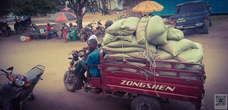 Beni : L’ONAPAC intercepte plus de 1.000 Kilogrammes de cacao de faude à Kasindi